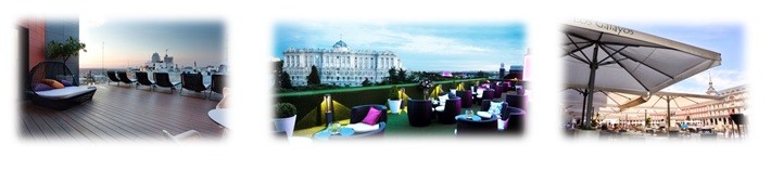 ganadorespremiosgato2016