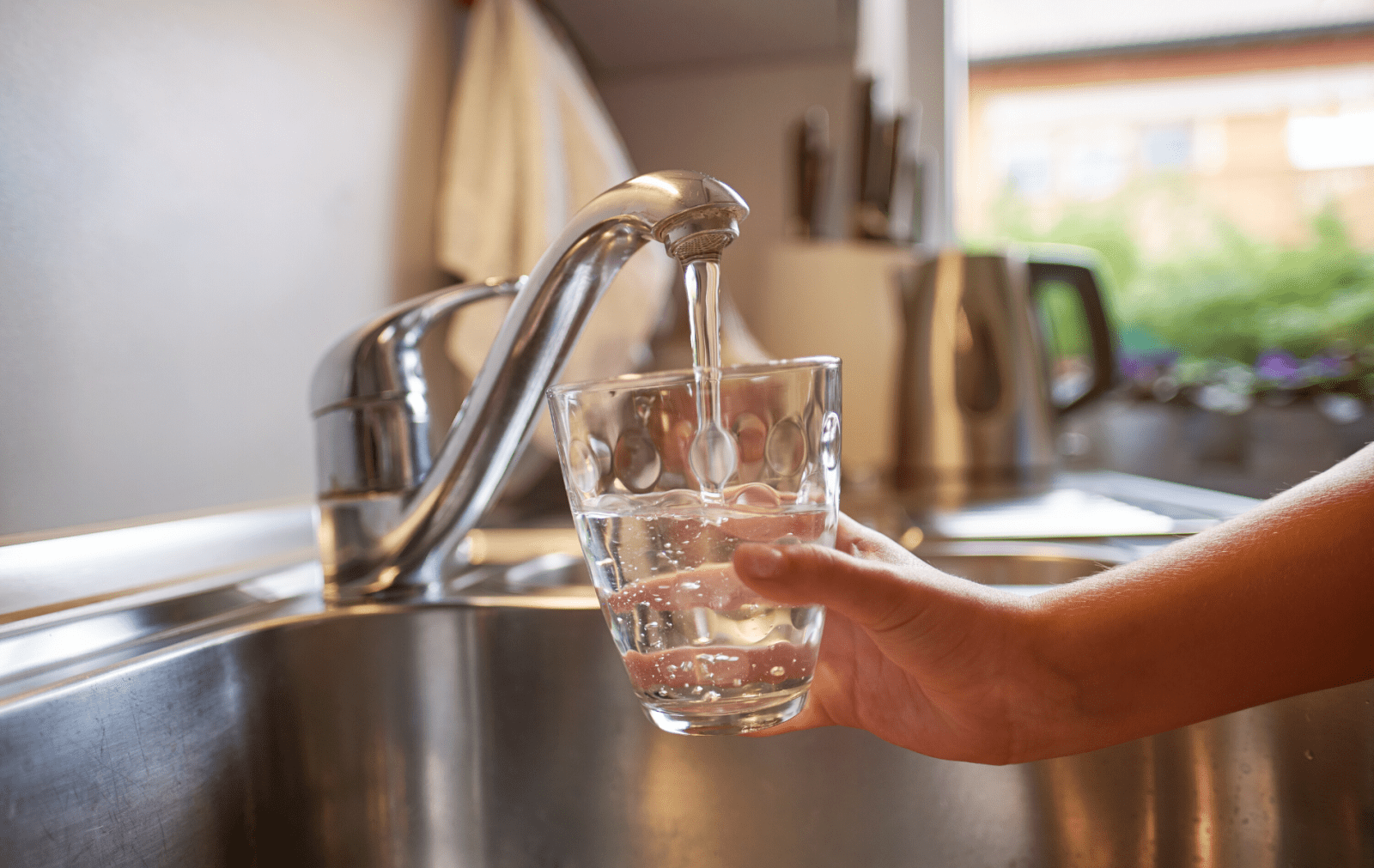 La Asamblea de Madrid aprueba fomentar que bares y restaurantes distribuyan agua del grifo - La Viña