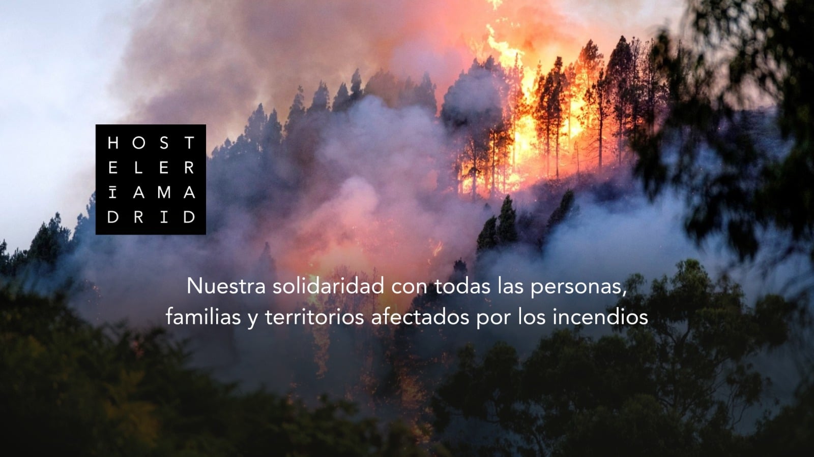 En Hostelería Madrid nos sentimos parte de esta emergencia - La Viña