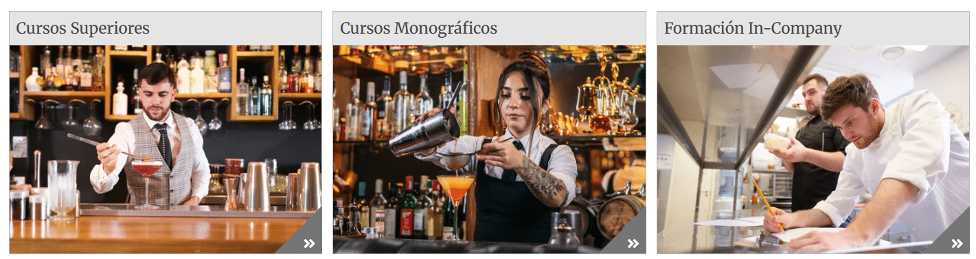 Madrid Hospitality School, la Escuela de Hostelería y Turismo de la Cámara de Comercio de Madrid se reinventa - La Viña